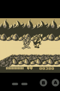 GBCoid - Battletoads