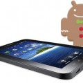 Samsung Galaxy Tab dostanie Gingerbread