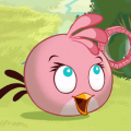 Angry Birds Seasons: Nowy ptak na pokładzie - Pink Bird