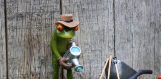 Jaki abonament bez telefonu 2023?