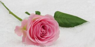 Jaka konsola na komunię?