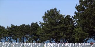 Ile kasy za złożenie komputera?