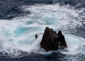 Czy ceny telefonów spadną?