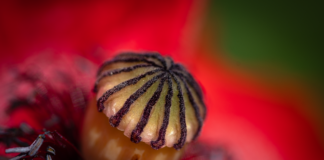 Czy 32 GB pamięci to dużo?