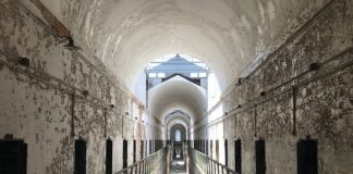 Ile wynosi kara za słuchanie radia w sklepie?