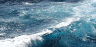 Co może być przyczyną szumu w uszach?