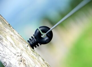 Ile procent Polaków używa iPhone?