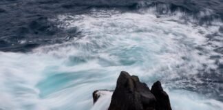 Dlaczego ceny kart graficznych rosną?