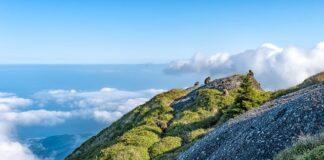 Jaka jest różnica między Xbox One są Xbox Series S?