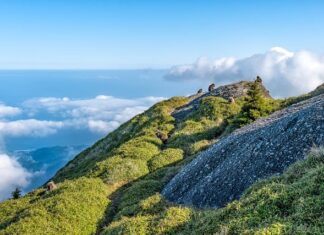 Jaka jest różnica między Xbox One są Xbox Series S? Jaka jest różnica między Xbox One są Xbox Series S?