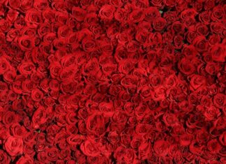 Czym się różni Xbox One od 360?