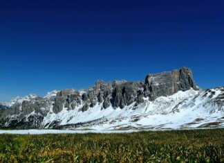 Ile kosztuje Game Pass na 2 lata?